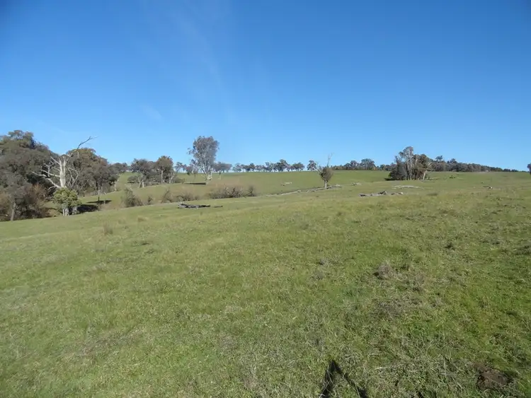 Fifth view of Homely rural property listing, Lots 1&2 Blacks Flat Road, Mudgegonga VIC 3737