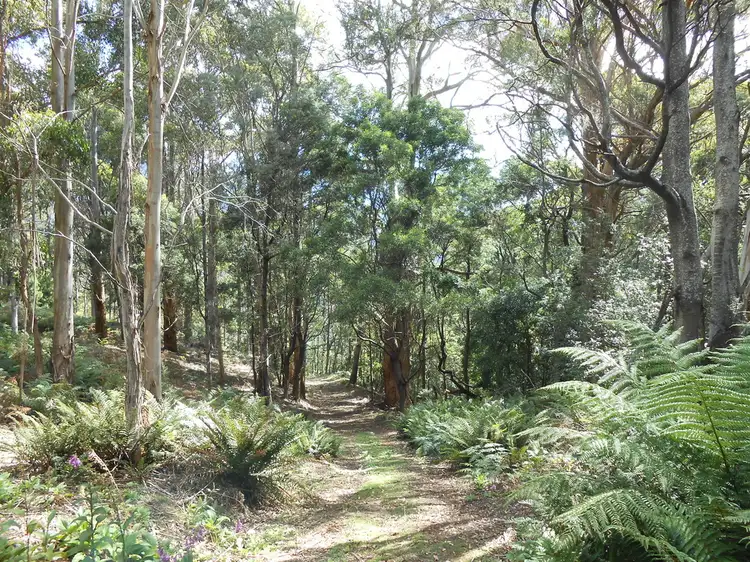 Sixth view of Homely land listing, 90 Gulf Road, Liffey TAS 7301