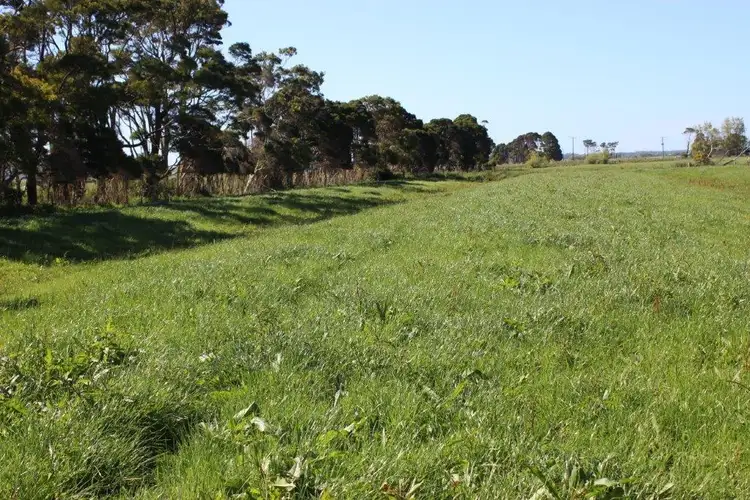 Fifth view of Homely rural property listing, 100 Park Road, Togari TAS 7330