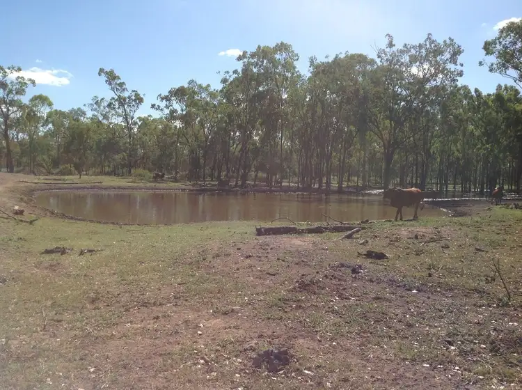 Sixth view of Homely rural property listing, 2326 Oxford Downs Rd, Nebo QLD 4742