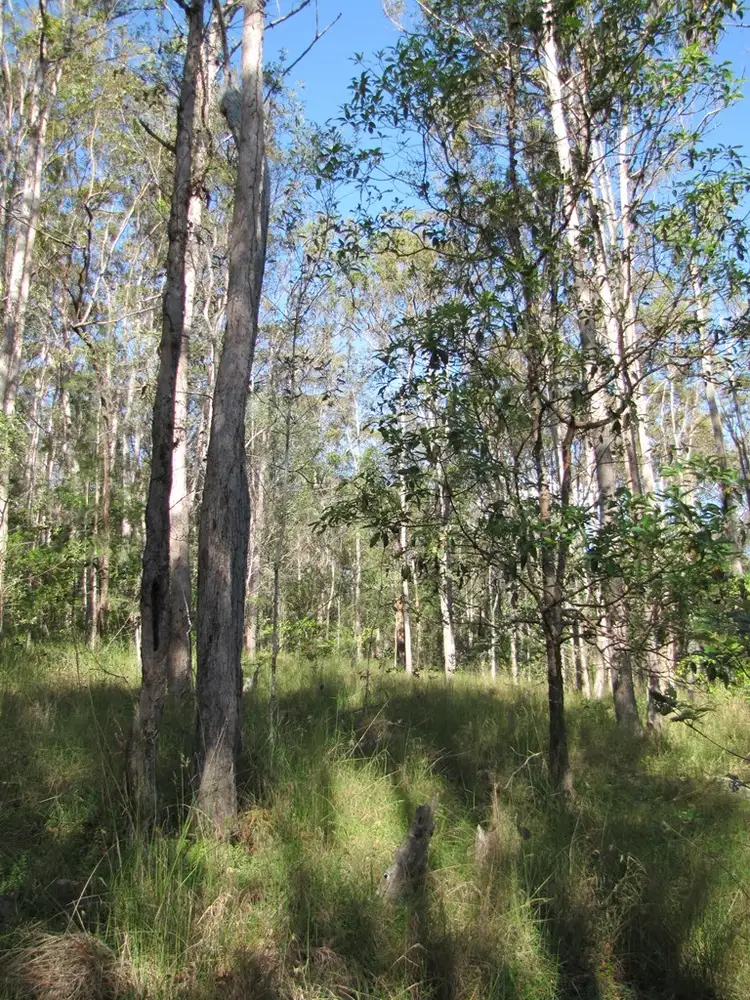 Sixth view of Homely house listing, 600 Lowe Road, Bollier QLD 4570