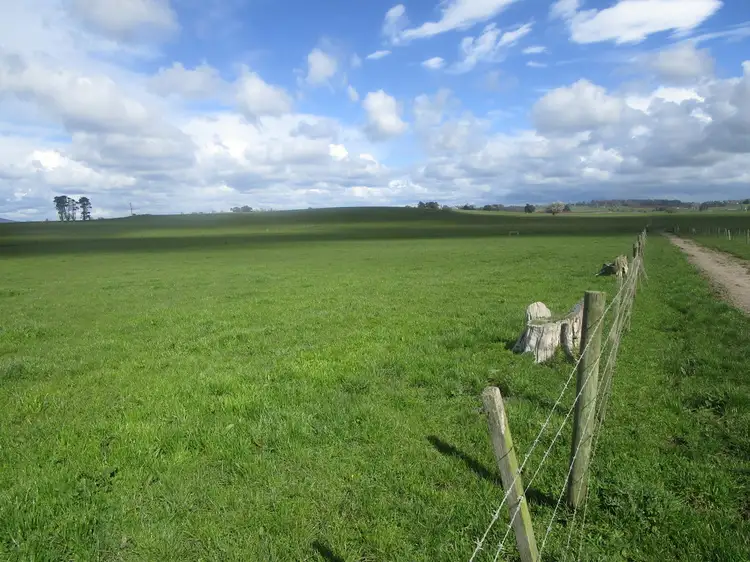 Sixth view of Homely rural property listing, 220 Squeaking Point Road, Thirlstane TAS 7307