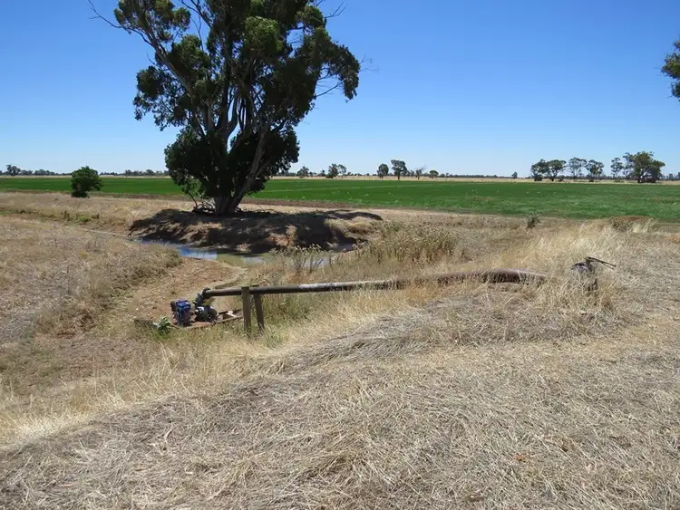 Sixth view of Homely rural property listing, "Woodlands" Hayfield Road, Finley NSW 2713