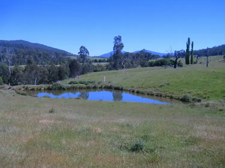 Main view of Homely rural property listing, 2920 Corryong Road, Benambra VIC 3900