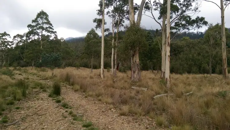 Fourth view of Homely rural property listing, Lot 4/600 Mount Barrow Rd, Nunamara TAS 7259