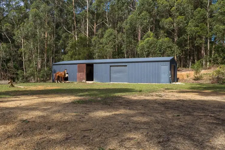 Fourth view of Homely house listing, 317 Cullendulla Drive, Long Beach NSW 2536