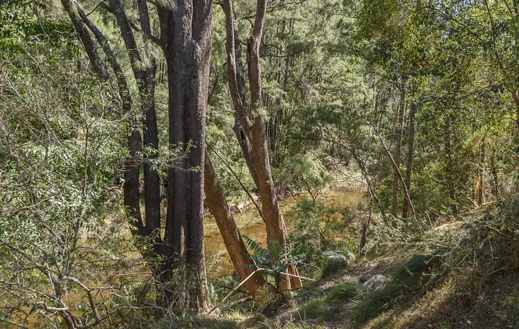 Third view of Homely house listing, 1391 Araluen Road, Moruya NSW 2537