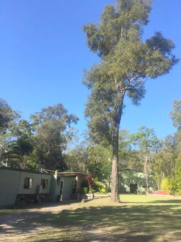 Third view of Homely house listing, 722 Creevey Drive, Captain Creek QLD 4677