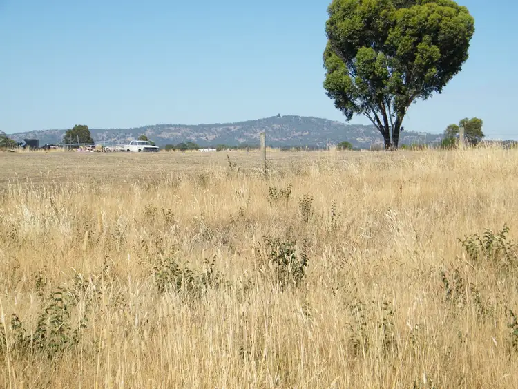 CA 41 - 4 Angus Street, Clunes VIC 3370