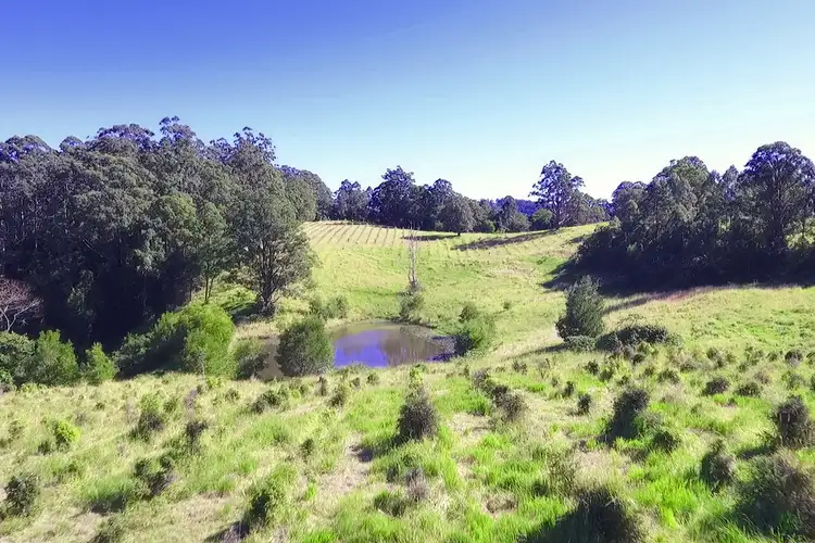 Fourth view of Homely rural property listing, 839 Blue Knob Road, Blue Knob NSW 2480