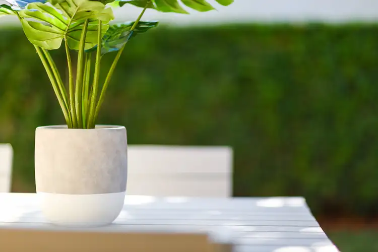 Fifth view of Homely house listing, 157 Cabarita Road, Cabarita NSW 2137