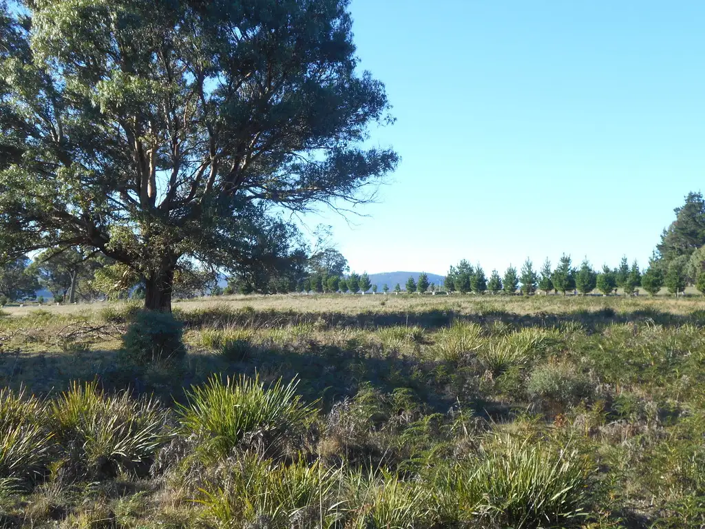 Main view of Homely land listing, Lot 4 3386 Nugent Road, Buckland TAS 7190