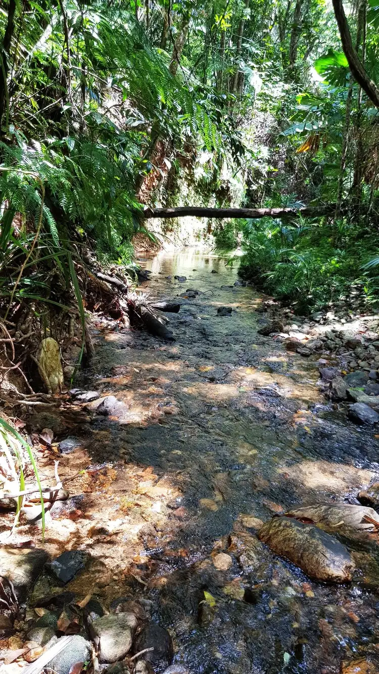Seventh view of Homely land listing, Lot 19 Thornton Pk Drive Forest Creek, Daintree QLD 4873
