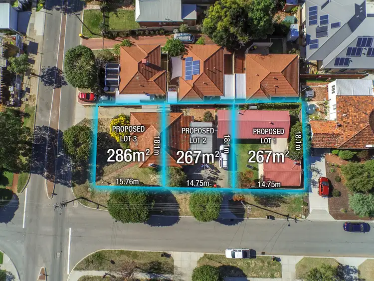 Fifth view of Homely house listing, 11 Beatrice Street, Doubleview WA 6018