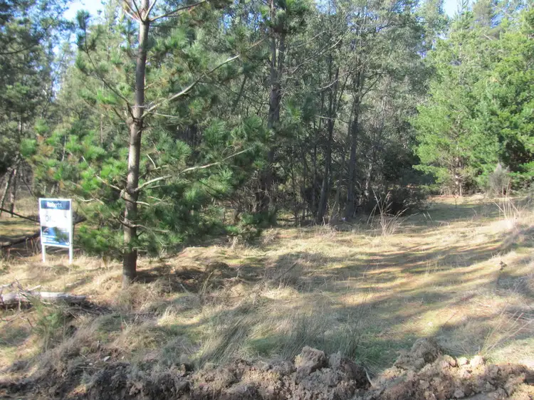 Third view of Homely land listing, 0 Mangana Street, Mathinna TAS 7214