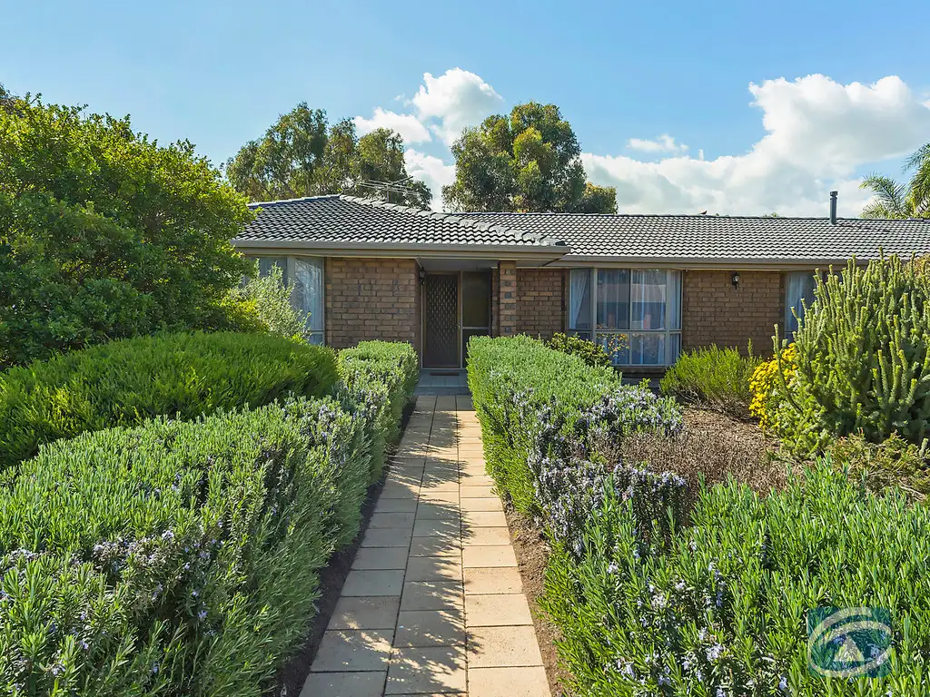 Main view of Homely house listing, 20 Max Fatchen Drive, Angle Vale SA 5117