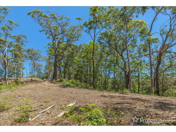 Third view of Homely land listing, Lot 7/106 Wongawallan Road, Tamborine Mountain QLD 4272