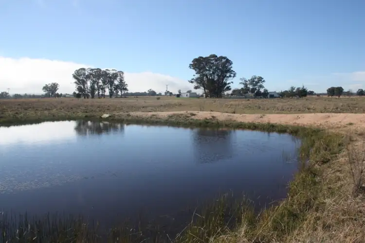 Seventh view of Homely house listing, 229 Wyoming Road, Gulgong NSW 2852