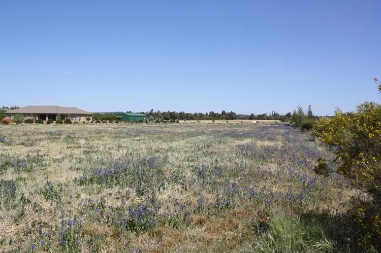 Lot 42 Boorga Road, Lake Wyangan NSW 2680