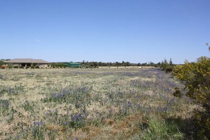 Main view of Homely land listing, Lot 42 Boorga Road, Lake Wyangan NSW 2680