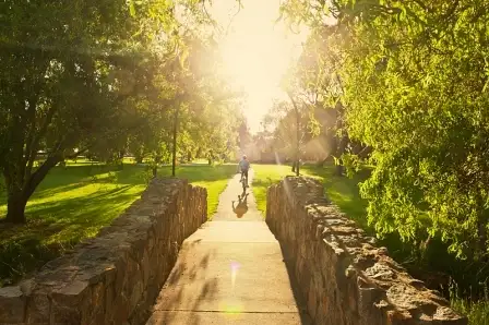 Seventh view of Homely land listing, 5 (311) Noreuil Circuit, Cowaramup WA 6284