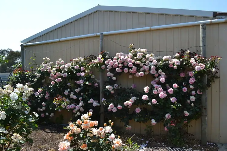 Fifth view of Homely house listing, 25 SMITH STREET, Parndana SA 5220