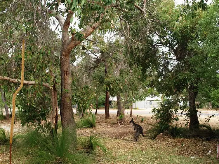 Fourth view of Homely land listing, 1 Toddy Place, Dunsborough WA 6281