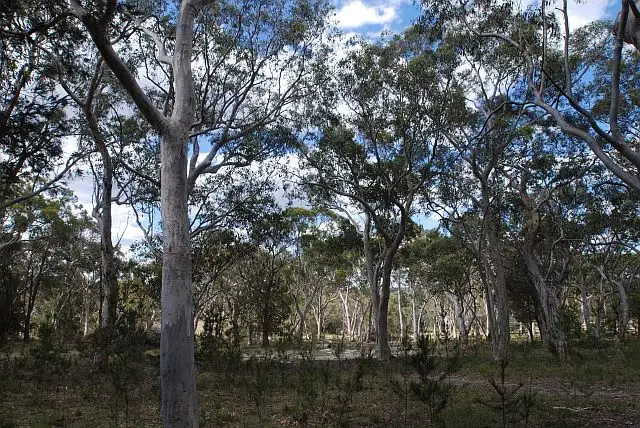 Fourth view of Homely land listing, Lot 1 Bumballa Road, Tallong NSW 2579