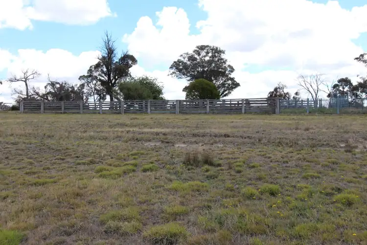 Fifth view of Homely rural property listing, 2097 Mitchell Highway, Vittoria NSW 2799