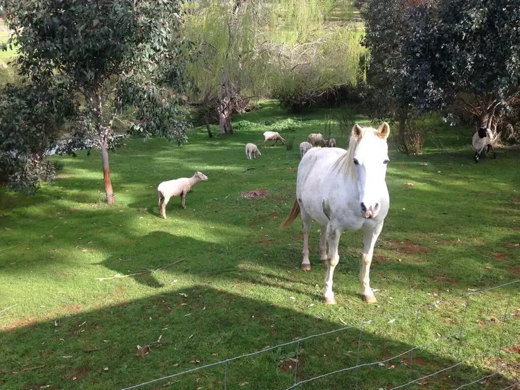 Seventh view of Homely land listing, 45 Flintoff Road, Bridgetown WA 6255