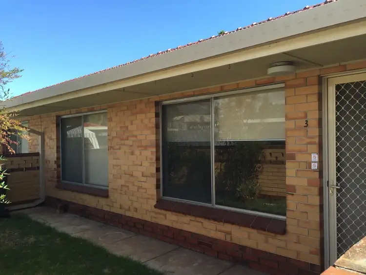 Second view of Homely unit listing, 3/3 Maclagan Avenue, Allenby Gardens SA 5009