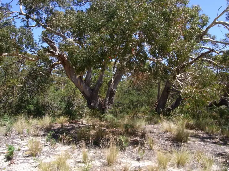 Third view of Homely land listing, 1181 Dolphin Sands Road, Dolphin Sands TAS 7190