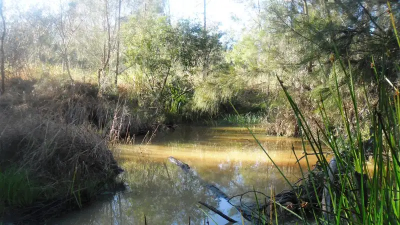 Main view of Homely rural property listing, 14 Brynvale Lane, Coutts Crossing NSW 2460