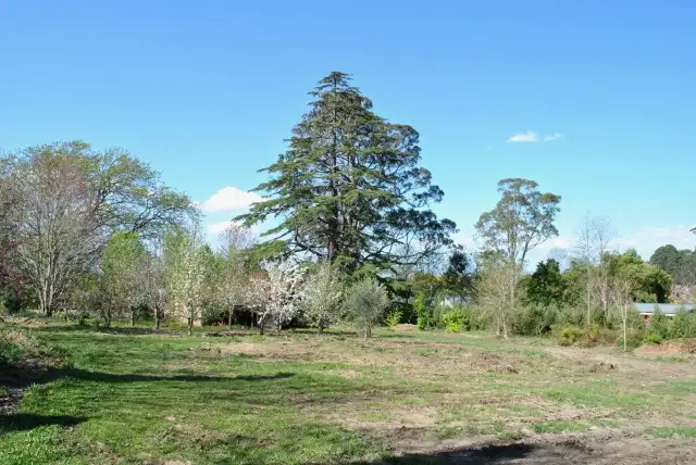 Third view of Homely land listing, Lot 84 Illawarra Highway, Moss Vale NSW 2577
