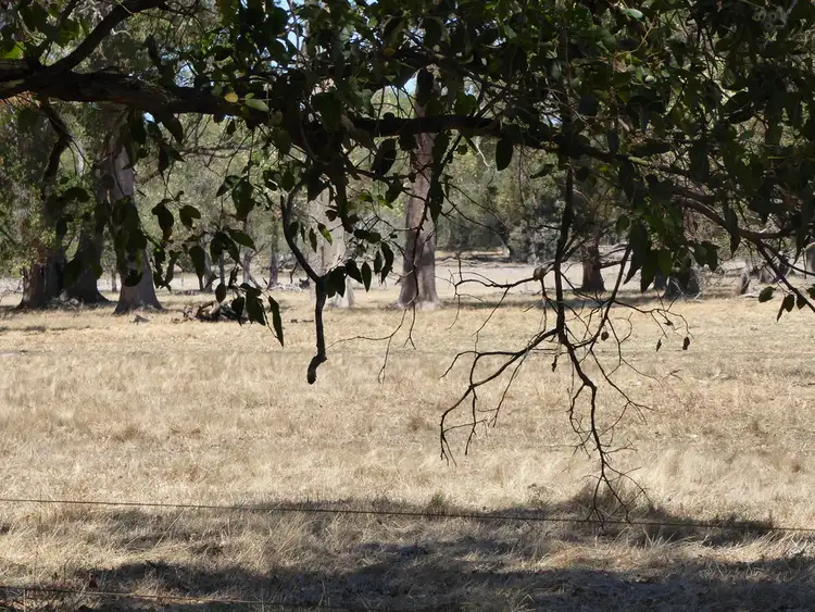 Fifth view of Homely rural property listing, Lot 77 Clarke Road, Elgin WA 6237