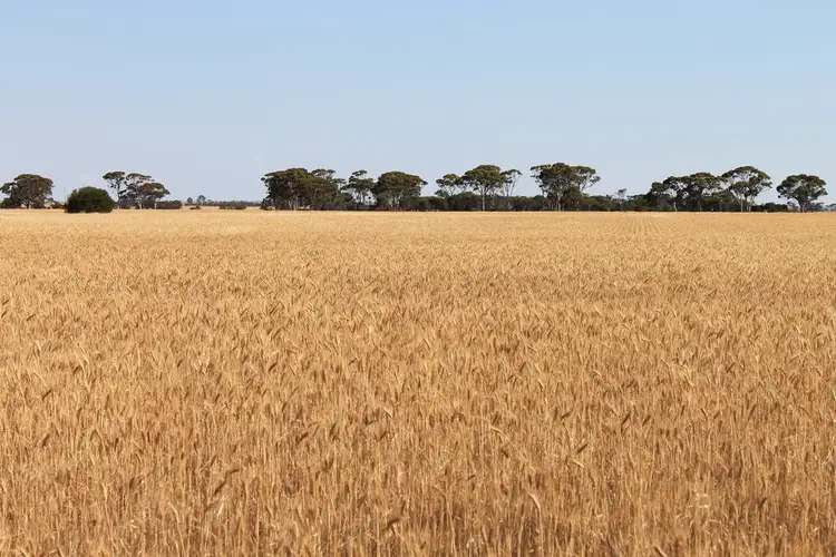 Fifth view of Homely rural property listing, 140 Tolland Road, Karlgarin WA 6358
