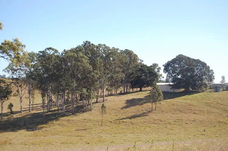 Second view of Homely rural property listing, 1130 Dyraaba Road, Dyraaba NSW 2470