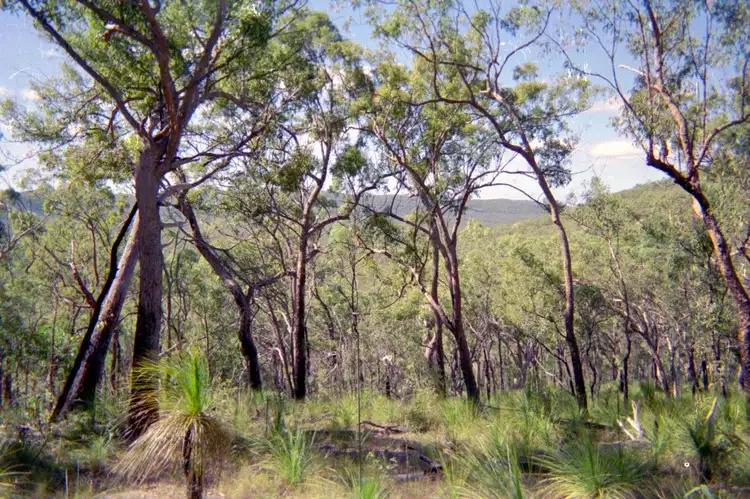 Main view of Homely land listing, Lot 232 Murphy Road, Captain Creek QLD 4677