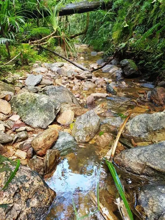 Third view of Homely land listing, 11 Thornton Peak Drive, Daintree QLD 4873