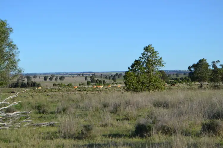 Main view of Homely land listing, 1731 Old Rosevale Road, Jandowae QLD 4410