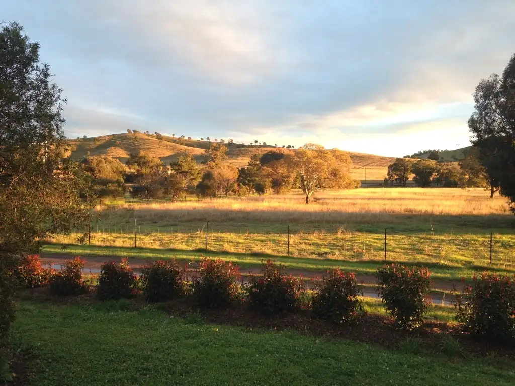 Main view of Homely rural property listing, 1165 Goolma Road, Gulgong NSW 2852