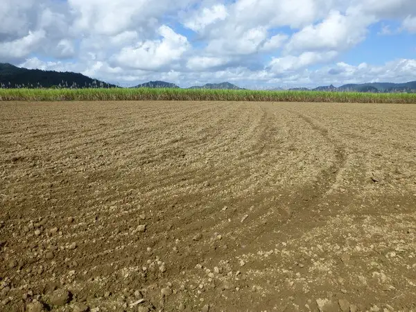 Fifth view of Homely rural property listing, Address available on request