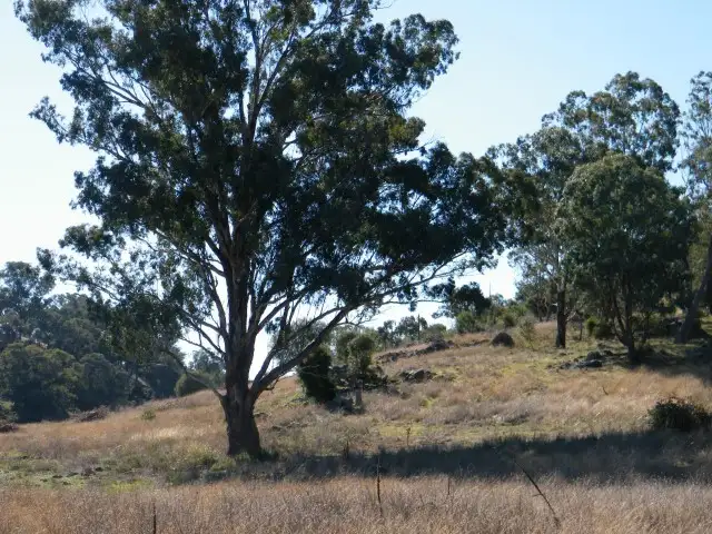 Seventh view of Homely rural property listing, 494 Hamiltons Road, Quirindi NSW 2343