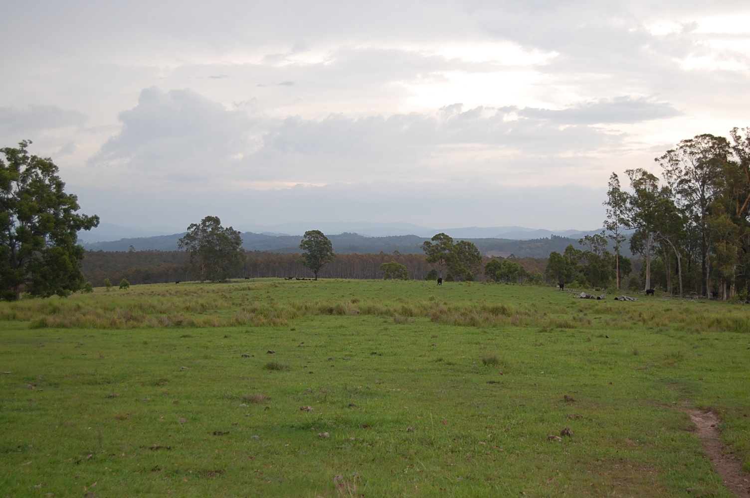 Fifth view of Homely rural property listing, Lots 58 & 93 Clarence Way TUNGLEBUNG via, Mallanganee NSW 2469