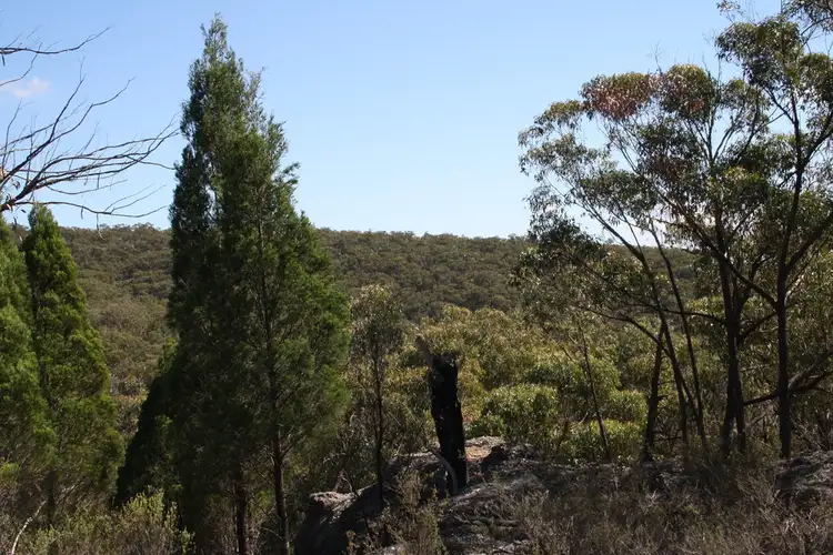 Third view of Homely rural property listing, 355 Gordons Gully Road, Mudgee NSW 2850