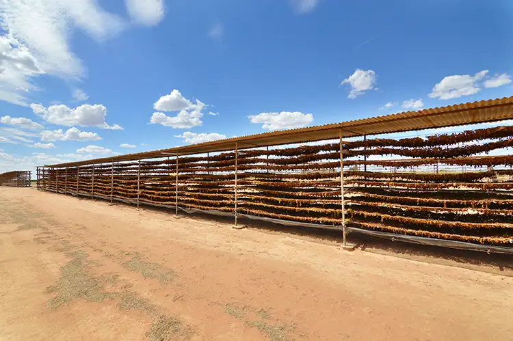 Sixth view of Homely land listing, Blk 169 Fifth Street, Merbein VIC 3505