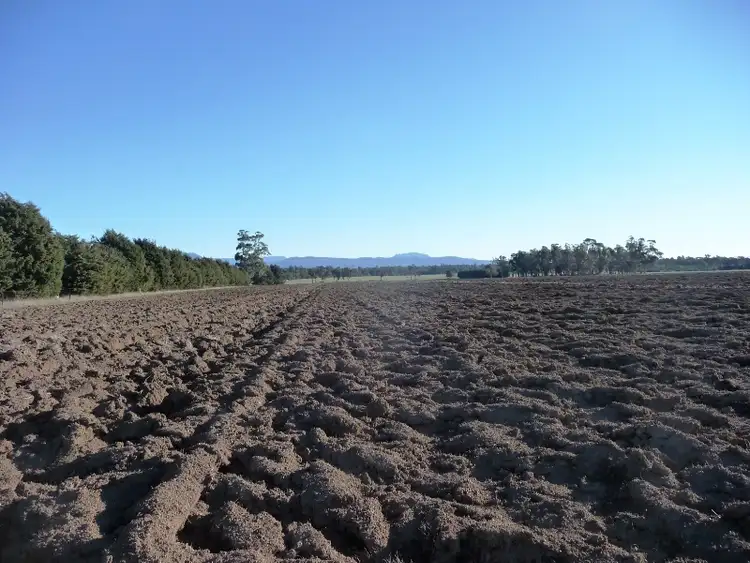Third view of Homely rural property listing, 1315 Illawarra Road, Carrick TAS 7291