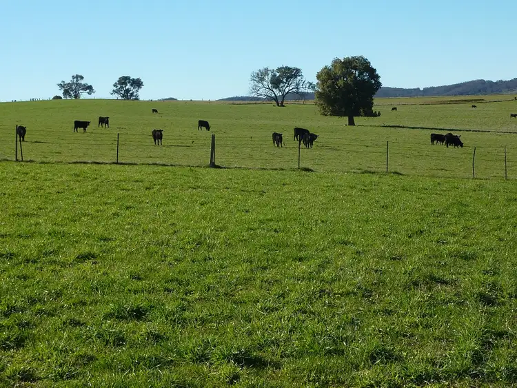 Third view of Homely rural property listing, 146 Pulletop Poad, Wagga Wagga NSW 2650