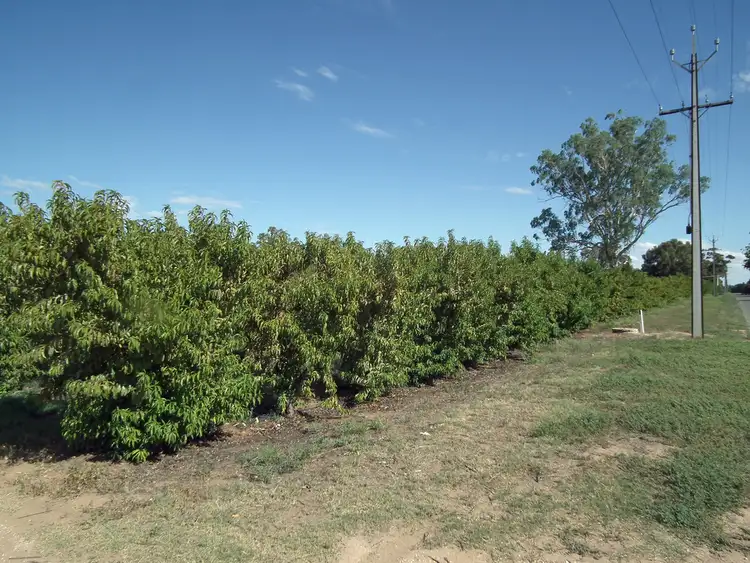 Seventh view of Homely land listing, Lot 101 Kulkyne Street, Renmark SA 5341