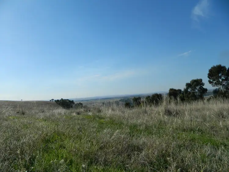 Fifth view of Homely land listing, Allotment Comprising Pieces 43 & 46 Riggs Road, Bibaringa SA 5118